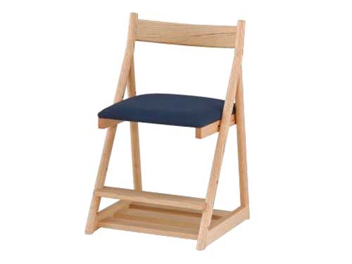 Desk Chair (Used)