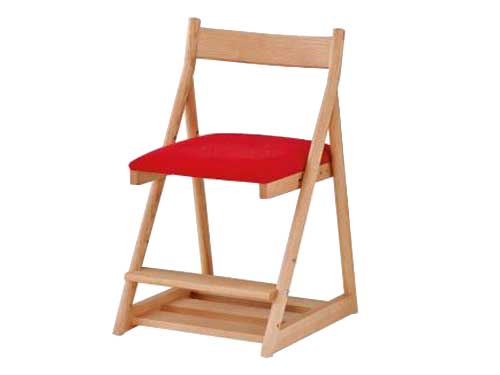 Desk Chair (Used)