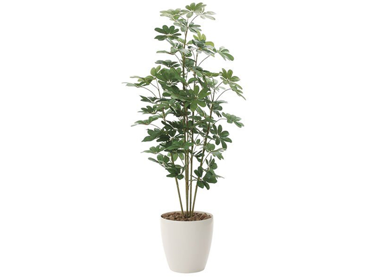 Art Plant (Used)