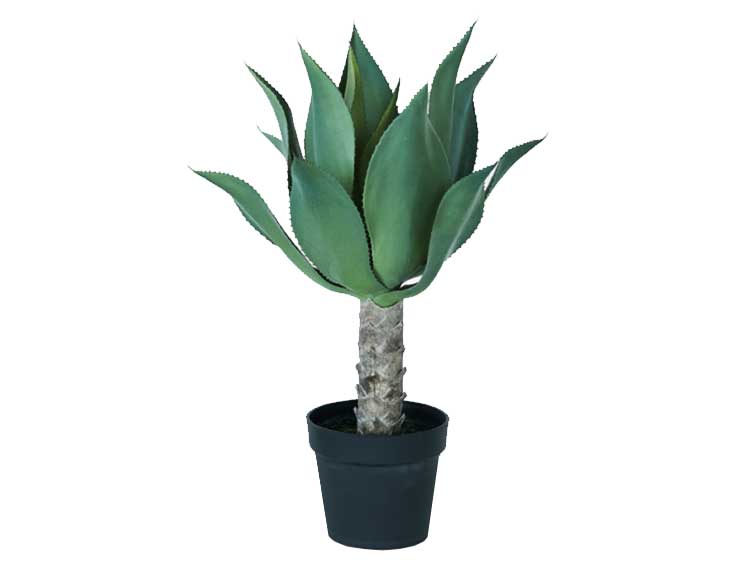 Art Plants (Used)