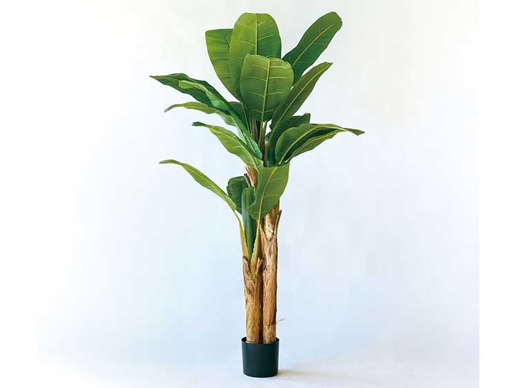 Art Plants (Used)