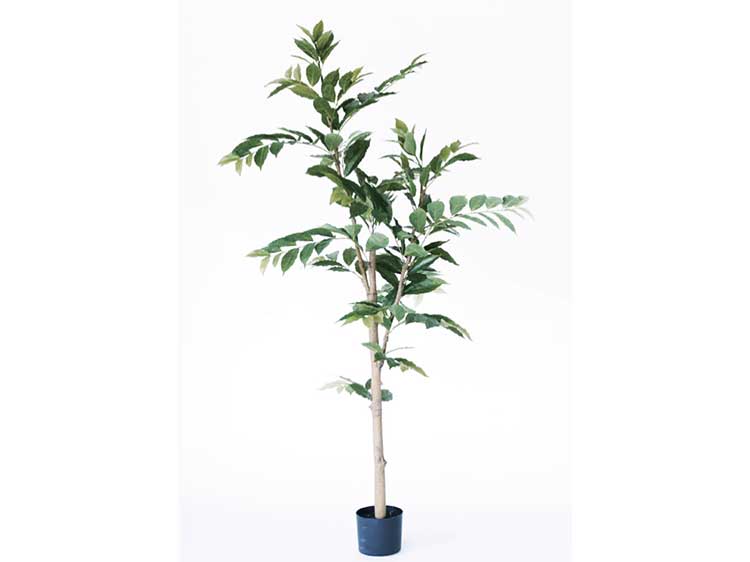 Art Plants (Used)
