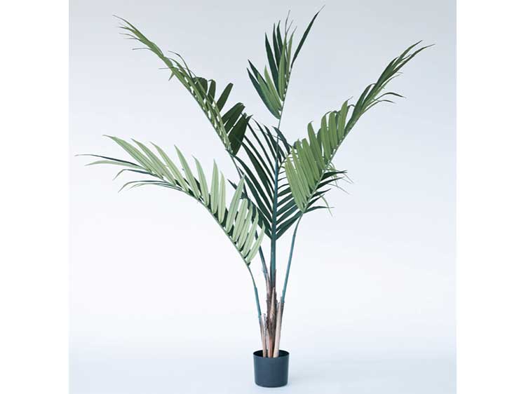 Art Plants (Used)