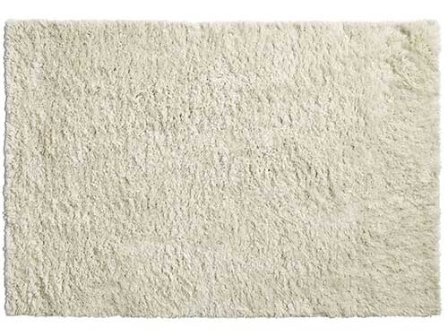 Rug (Used)