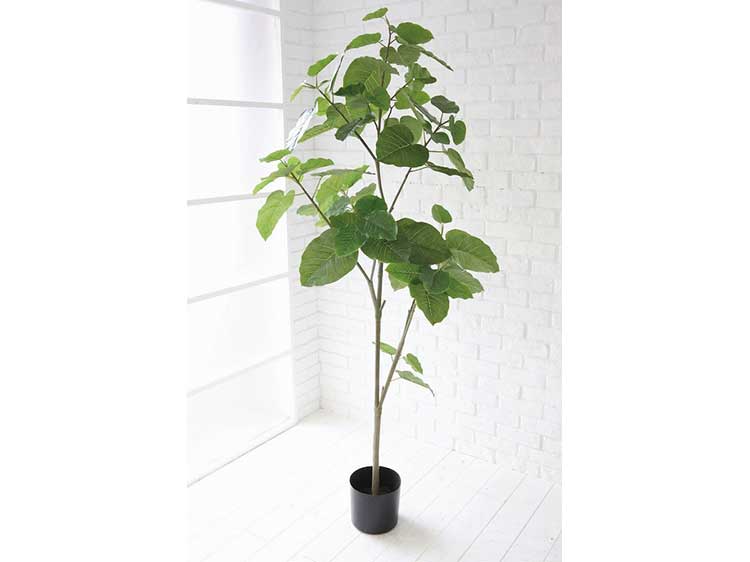 Art Plants (Used)