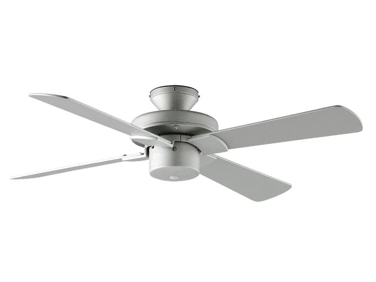 Ceiling Fan (Used)