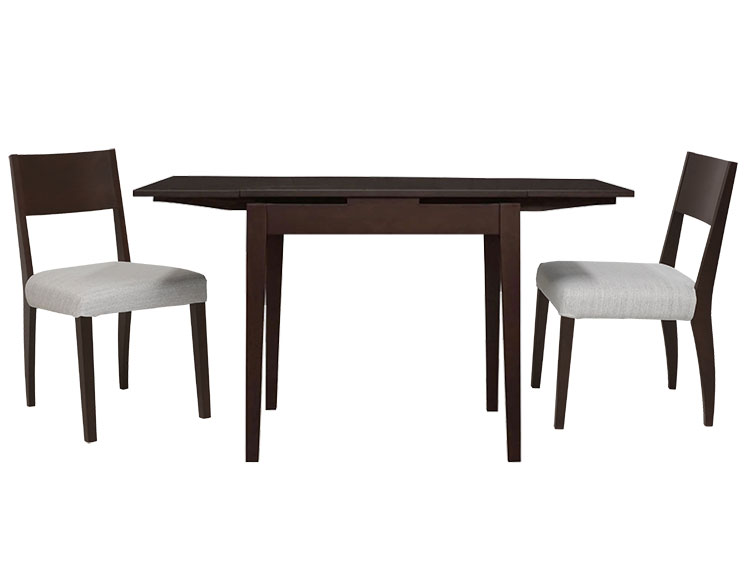 Dining Table with 2 chairs Set (Used)