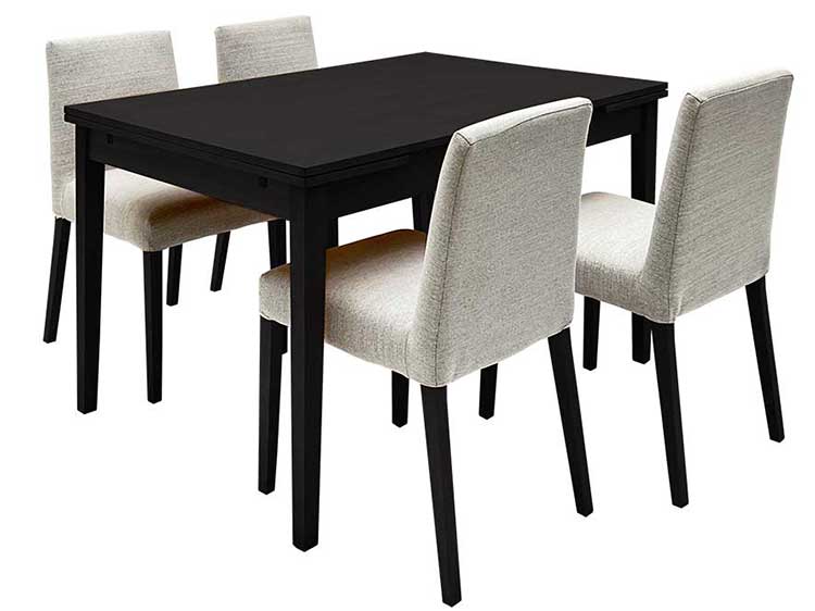 Dining Table with 4 chairs (Used)