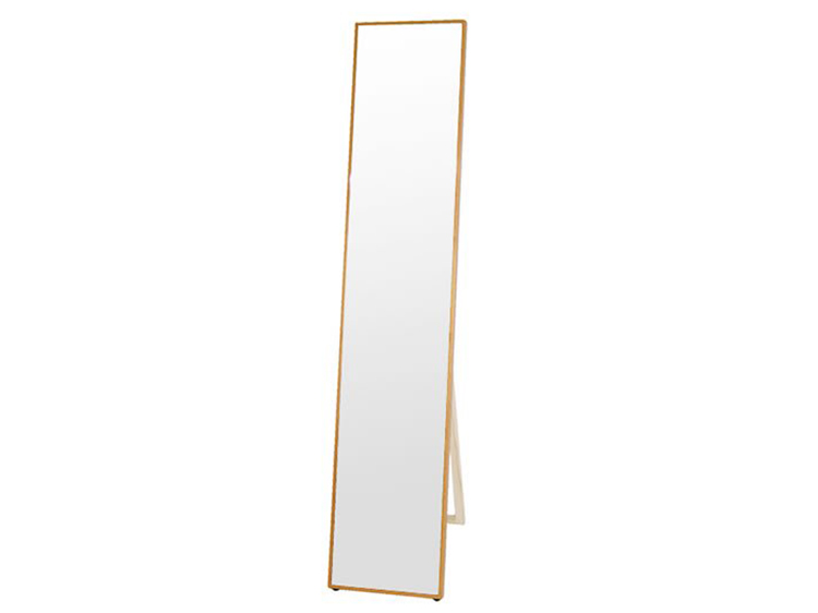 Standing Mirror (Used)