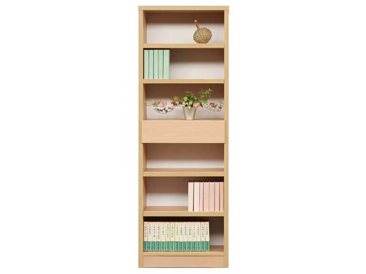 Shelf (Used)