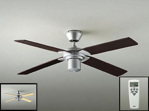 Ceiling Fan (Used)