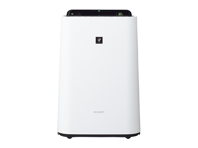 Humidifier Air Purifier (Used)