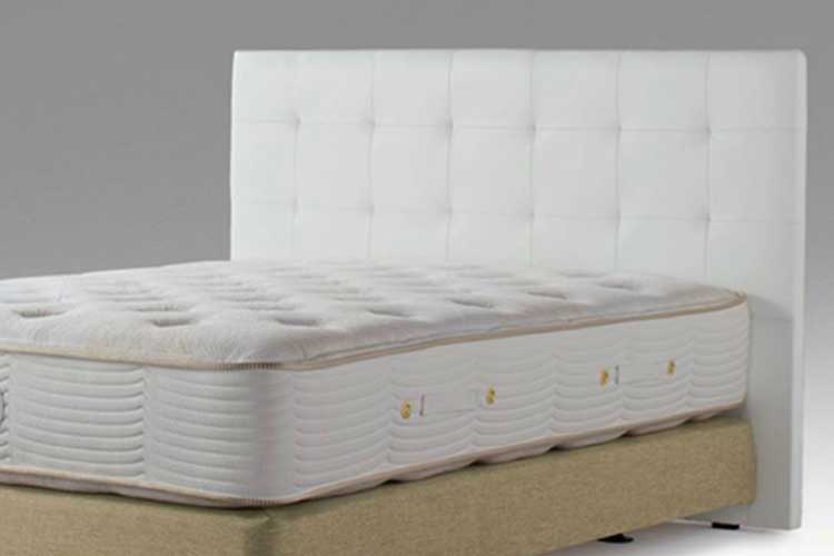Queen-Size Headboard (Used)