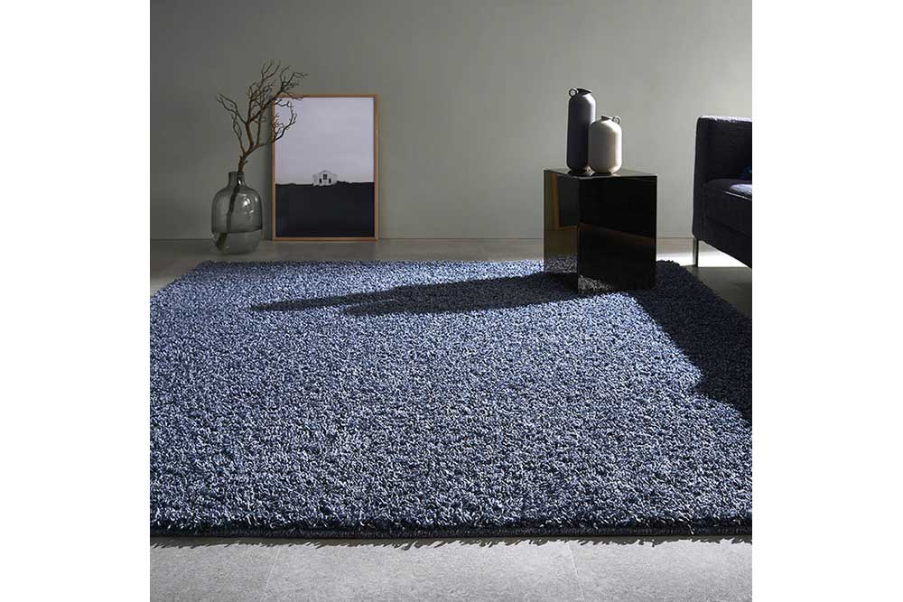 Rug (Used)