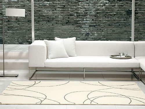 Rug (Used)