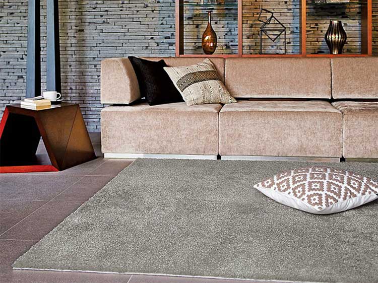 Rug (Used)