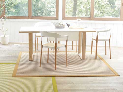 Rug (Used)