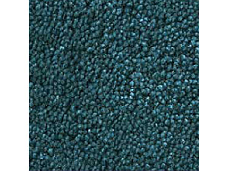Rug (Used)