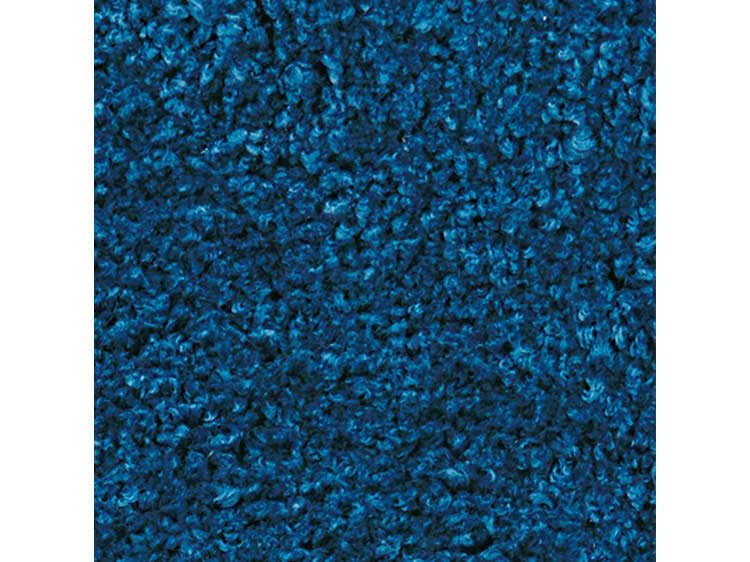 Rug (Used)