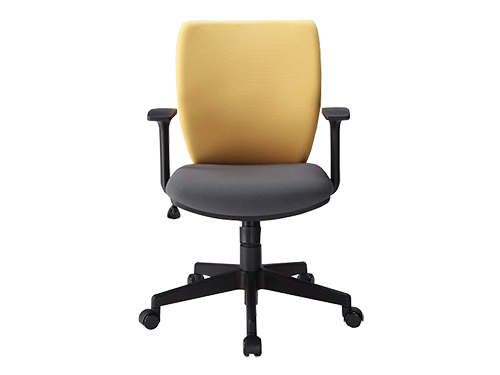 Desk Chair (Used)