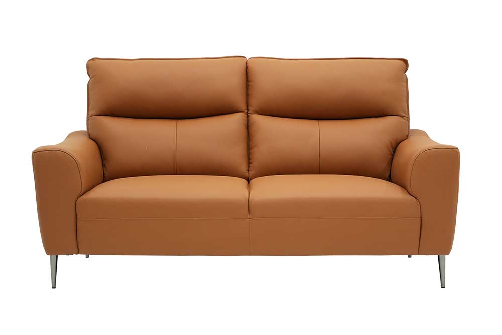 2P Sofa (New)